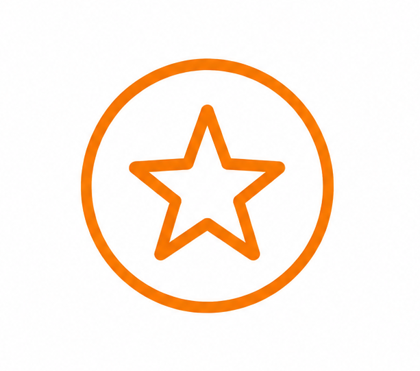 Star icon representing LIV’s carefully selected premium vacation homes